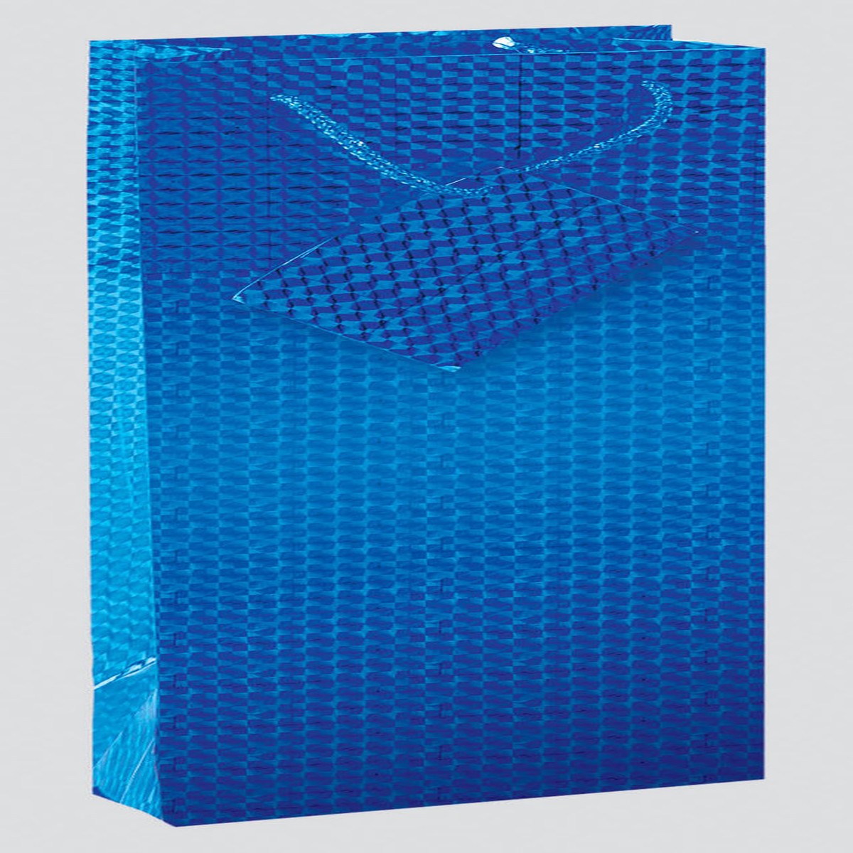 Pack of 12 Bottle Assorted Coloured Holographic Gift Bags