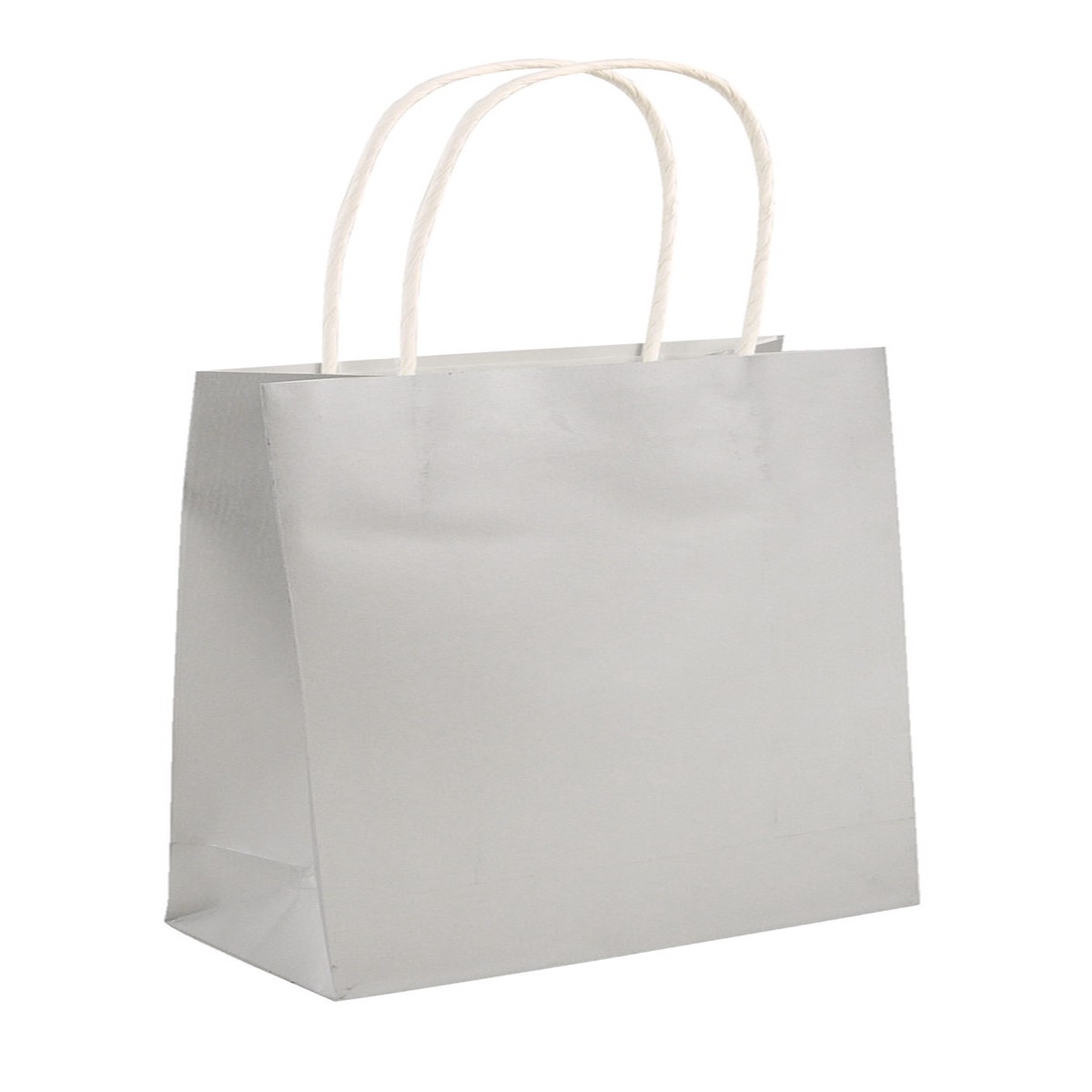 Pack of 24 Silver Party Bags with Handles