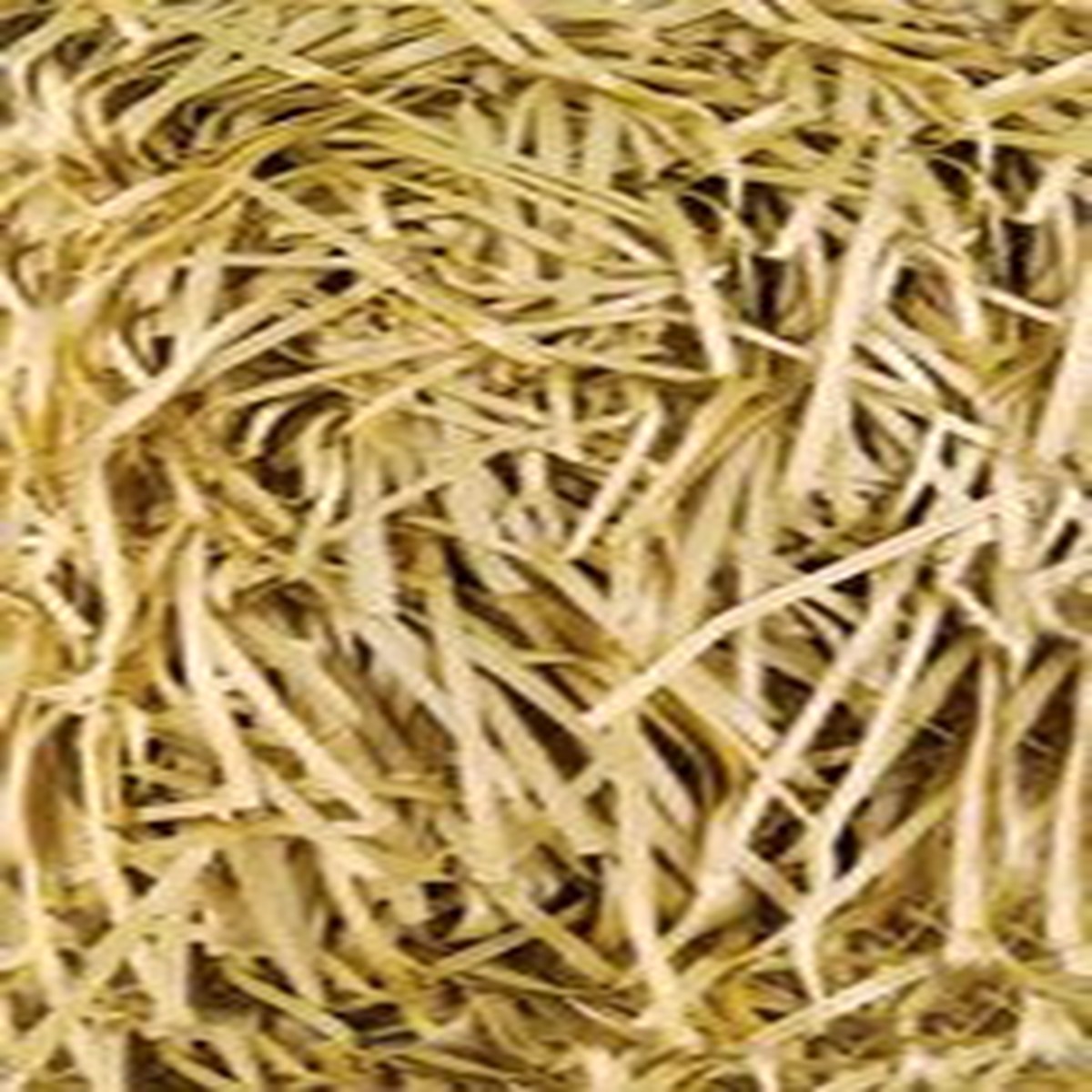 20g Gold Shredded Tissue