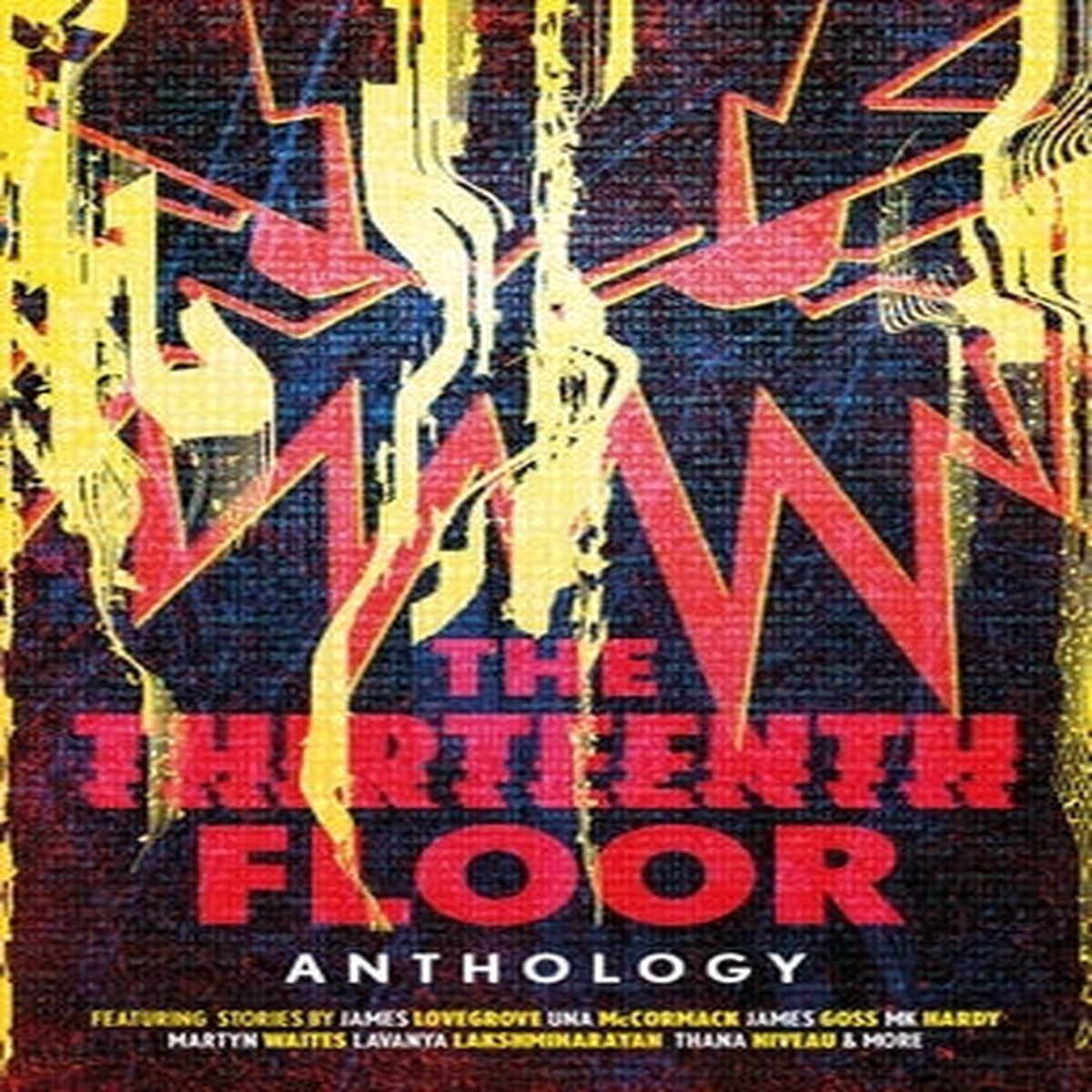 The Thirteenth Floor Anthology [Adams, Guy]
